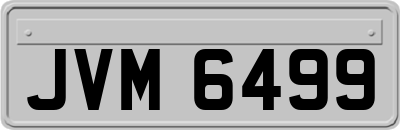 JVM6499