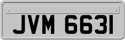 JVM6631