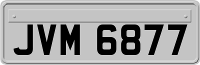 JVM6877