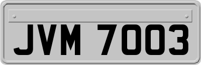 JVM7003