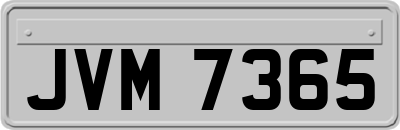 JVM7365
