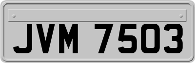 JVM7503