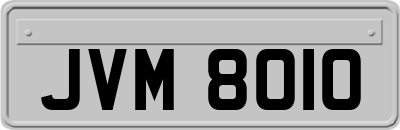 JVM8010