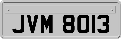 JVM8013