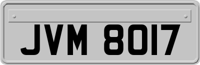 JVM8017