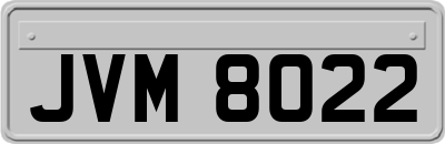 JVM8022