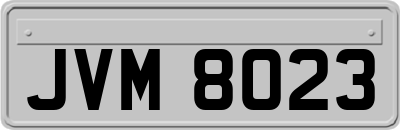 JVM8023