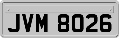 JVM8026
