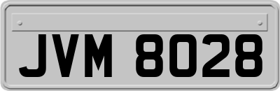 JVM8028