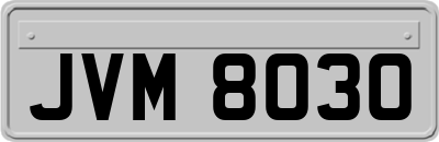 JVM8030