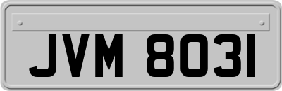 JVM8031