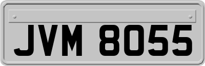 JVM8055