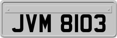 JVM8103