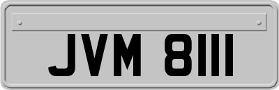 JVM8111