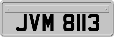 JVM8113