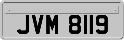 JVM8119
