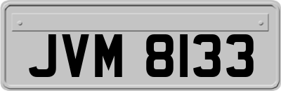 JVM8133