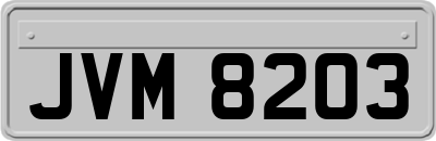 JVM8203