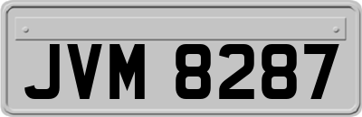 JVM8287
