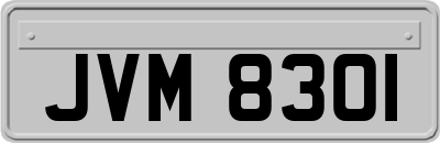 JVM8301