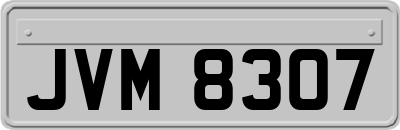 JVM8307