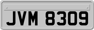 JVM8309
