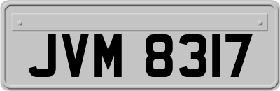 JVM8317