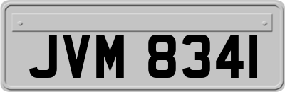 JVM8341
