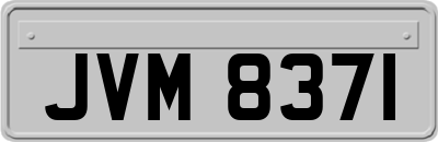 JVM8371