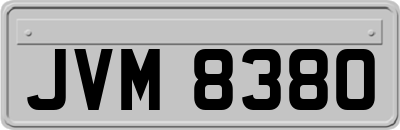 JVM8380