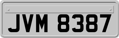JVM8387