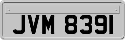 JVM8391