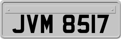 JVM8517