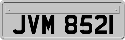 JVM8521