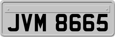 JVM8665