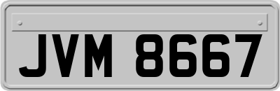 JVM8667