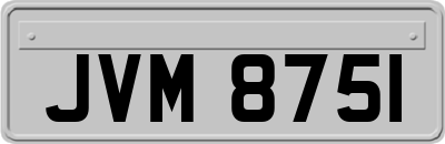 JVM8751