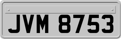 JVM8753