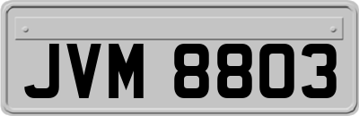 JVM8803