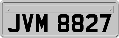 JVM8827