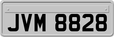 JVM8828