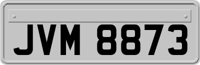 JVM8873