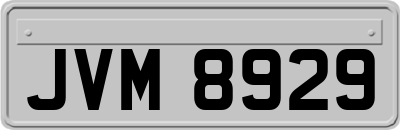 JVM8929