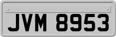 JVM8953