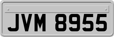 JVM8955