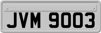 JVM9003