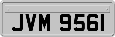 JVM9561