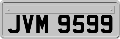 JVM9599