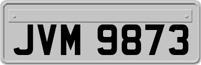 JVM9873