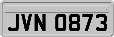 JVN0873
